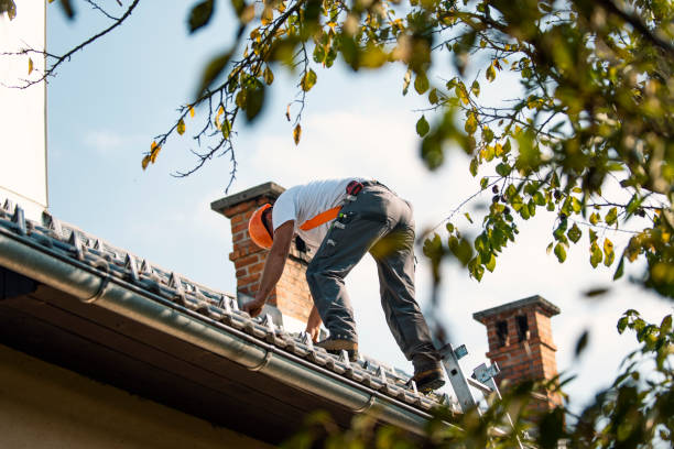 Fast & Reliable Emergency Roof Repairs in Taylorville, IL