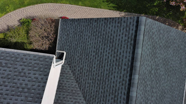 Best Roof Leak Repair  in Taylorvle, IL