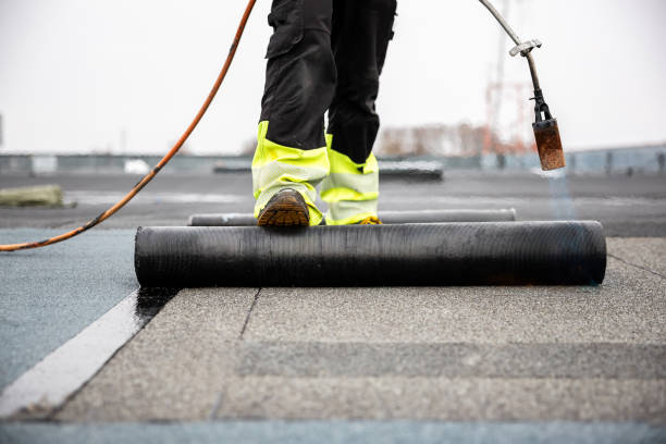 Best Rubber Roofing (EPDM, TPO)  in Taylorvle, IL