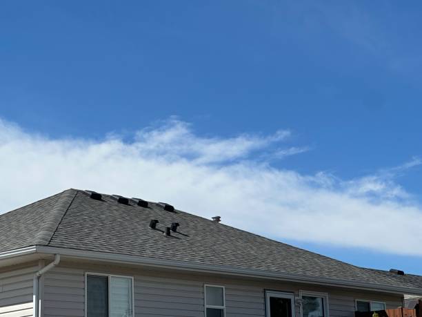 Best Emergency Roof Repair Services  in Taylorvle, IL